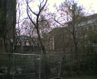 thumbs/03042005005.png