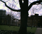 thumbs/Photo014.png