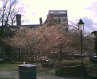 thumbs/Photo016.png