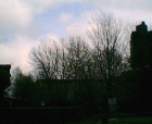 thumbs/07042005006.png