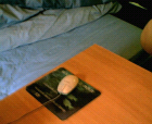thumbs/18042005018.png