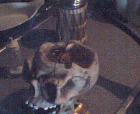 thumbs/20042005011.png