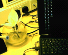 thumbs/20042005018.png