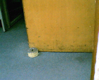 thumbs/21042005013.png