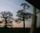 thumbs/22042005002.png