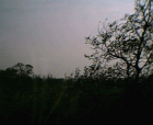 thumbs/22042005015.png