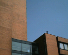 thumbs/23042005010.png