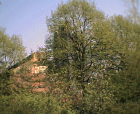 thumbs/23042005012.png