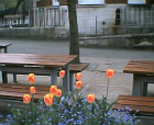 thumbs/24042005014.png