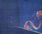 thumbs/25042005017.png