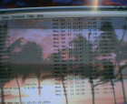 thumbs/26042005015.png