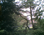 thumbs/26042005018.png