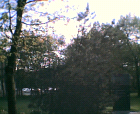 thumbs/29042005005.png
