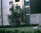 thumbs/29042005015.png