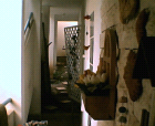 thumbs/08052005011.png