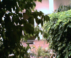 thumbs/08052005013.png