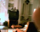 thumbs/08052005017.png