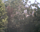 thumbs/08052005b008.png