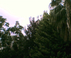 thumbs/08052005b009.png
