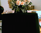 thumbs/08052005c002.png