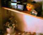 thumbs/08052005c018.png