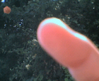 thumbs/08052005d003.png