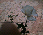 thumbs/08052005d007.png