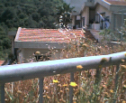 thumbs/08052005d008.png