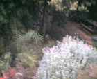 thumbs/08052005e003.png