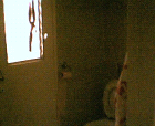 thumbs/09052005006.png