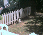 thumbs/09052005012.png