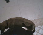 thumbs/09052005013.png