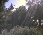 thumbs/10052005006.png