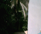 thumbs/10052005b001.png