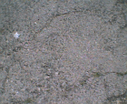 thumbs/10052005b009.png