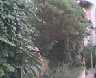thumbs/11052005005.png