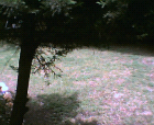 thumbs/11052005007.png