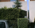 thumbs/11052005b002.png