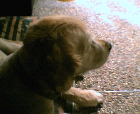 thumbs/11052005b015.png