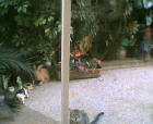 thumbs/12052005005.png