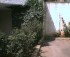 thumbs/12052005006.png