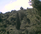 thumbs/12052005008.png