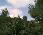 thumbs/12052005010.png