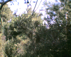 thumbs/12052005012.png