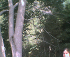 thumbs/12052005014.png