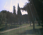 thumbs/12052005015.png