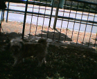 thumbs/12052005019.png