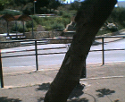 thumbs/12052005020.png