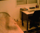thumbs/14052005014.png