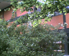 thumbs/16052005008.png